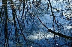 Refections 1 